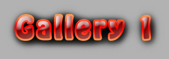 FREE GALLERY 1